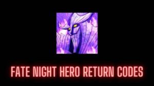 Fate Night Hero Return Codes